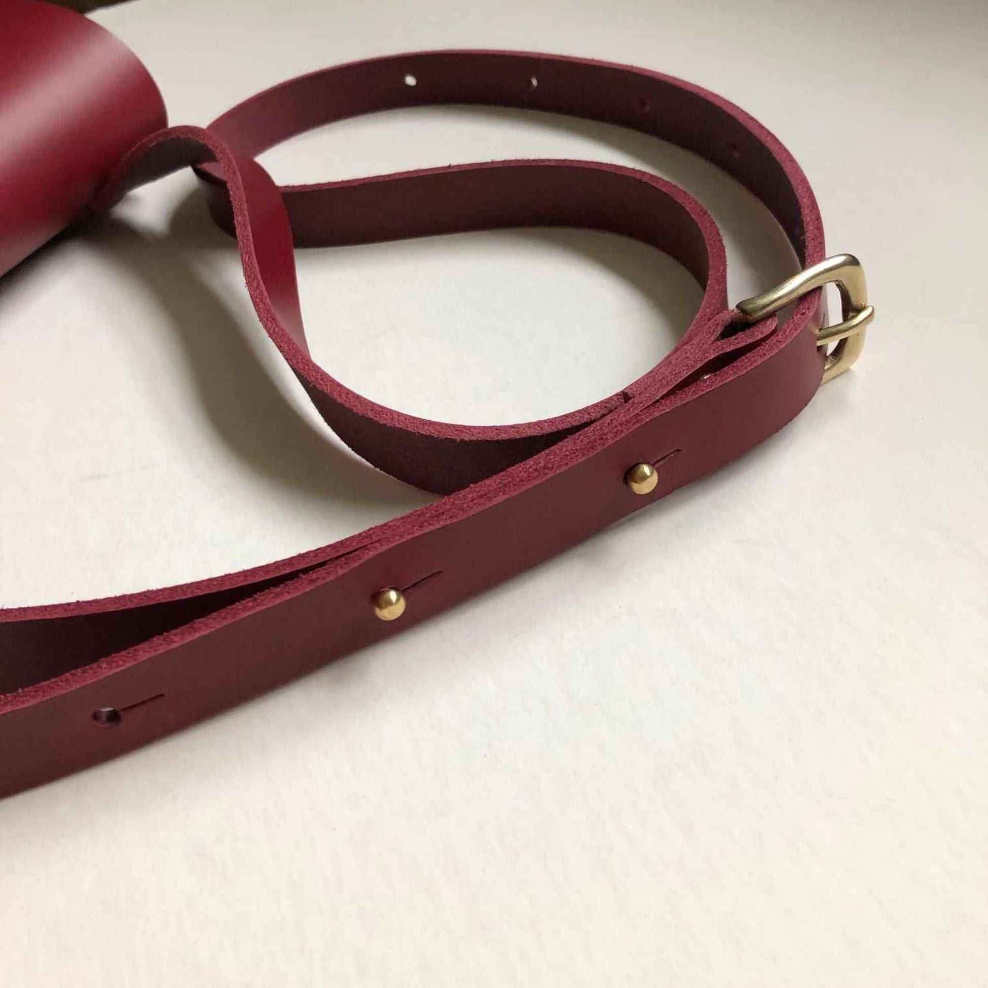 Pioneer Midi Red Leather Crossbody Bag with adjustable strap and brass hardware.